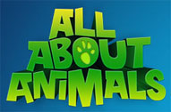 All About Animals